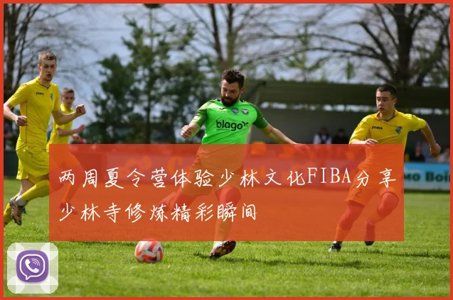两周夏令营体验少林文化FIBA分享少林寺修炼精彩瞬间